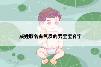 成姓取名有气质的男宝宝名字
